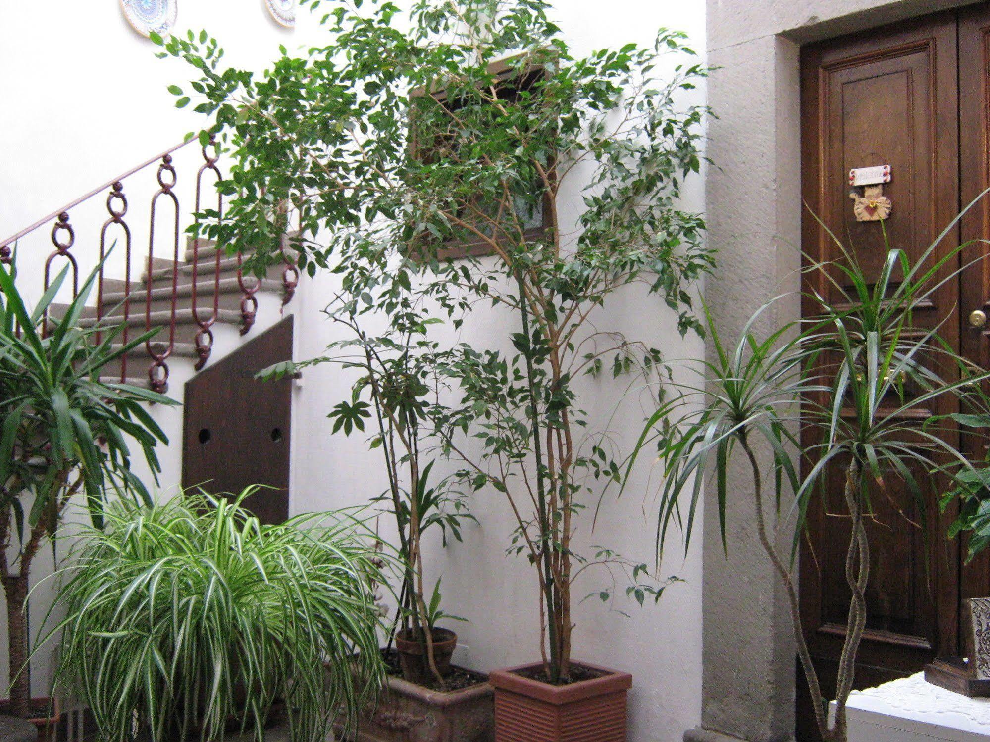Bb Santa Rosa Bed & Breakfast Viterbo Exterior photo